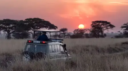 Africa Safari to Coast - Southern Africa Adventure